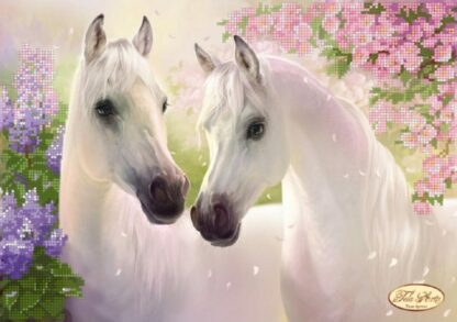 Cavalli innamorati