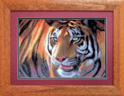 Tigre