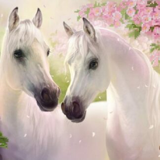 Cavalli innamorati