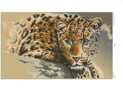 Leopardo