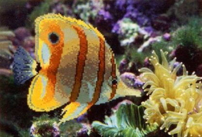 "Pesce farfalla". Schema ricamo a perline - Image 2