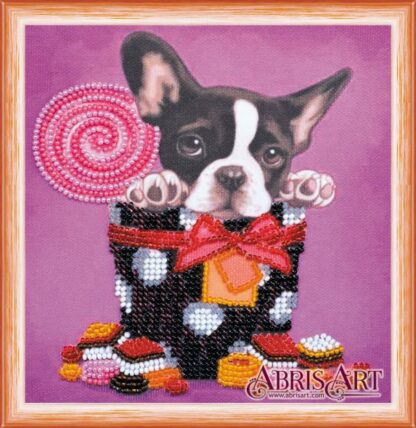 "Dolce vita. Boston Terrier". Mini-kit ricamo a perline