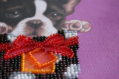 "Dolce vita. Boston Terrier". Mini-kit ricamo a perline - Image 3