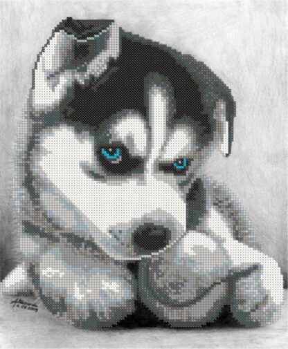 "Husky cucciolo". Schema ricamo a perline