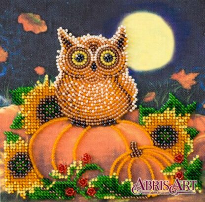 "In attesa di Halloween. Gufo". Mini-kit ricamo a perline