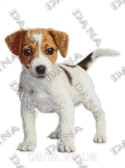 “Jack Russell terrier". Schema ricamo a perline